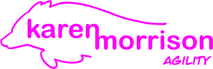 karen morrison agility