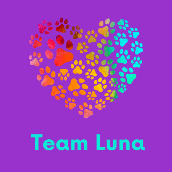 Team Luna Thumbnail