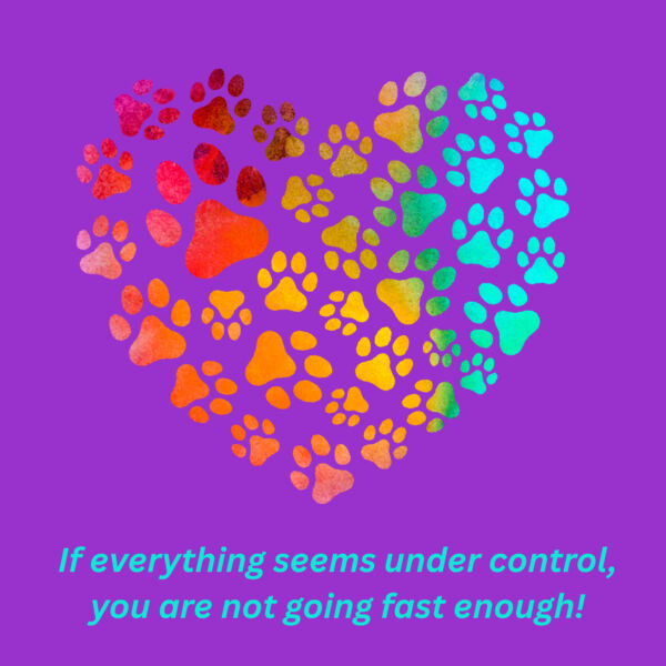 If everything seems under control, you are not going fast enough! Thumbnail