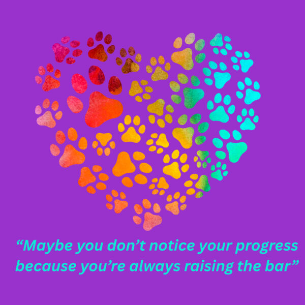 Maybe you don't notice your progress because you're always raising the bar  Thumbnail