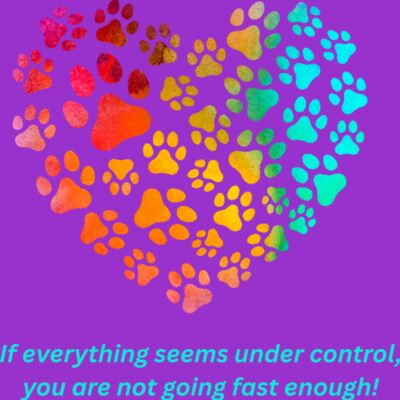 Rainbow Heart Quote_Not Going Fast Enough Thumbnail