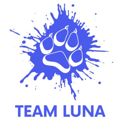 Energy Goes Where Intention Flows  Hoodies   1  Thumbnail