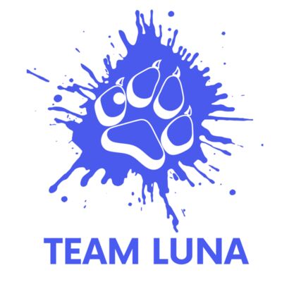 Energy Goes Where Intention Flows  Hoodies   4  Thumbnail